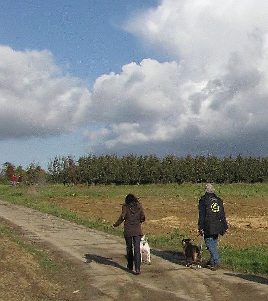 MG Herfstwandeling (38).JPG